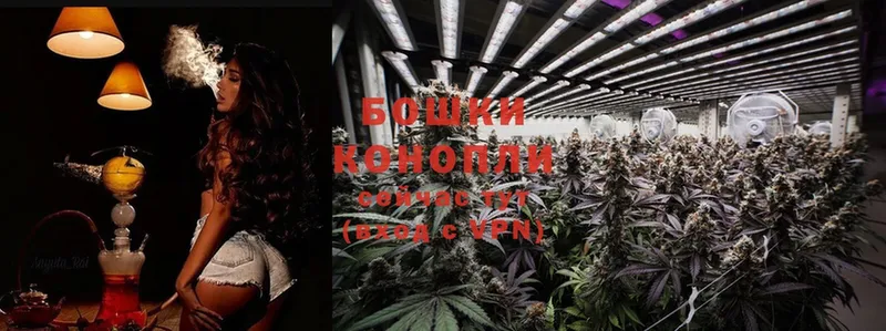 MEGA как войти  Йошкар-Ола  Бошки марихуана Ganja 